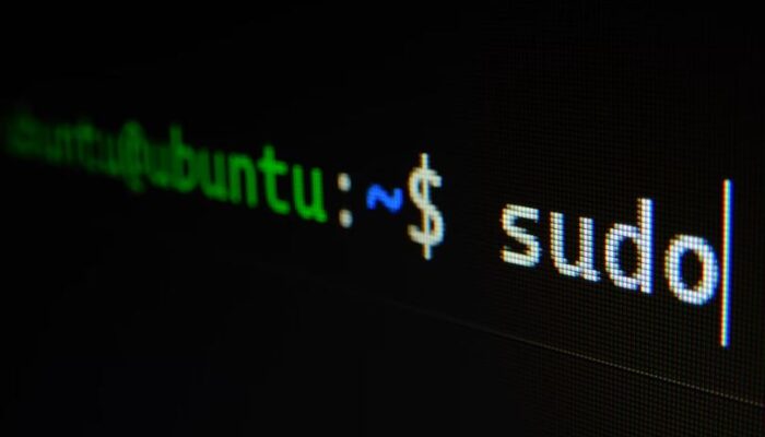 Milenial dan Linux: Pentingnya Menggali Sumber Terbuka