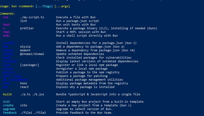 Cara Install, Perintah Dasar dan Contoh Penggunaan Bun untuk Web Project Next.JS